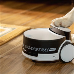 Enabot ROLA PetPal Robot Pet Companion Smart AI