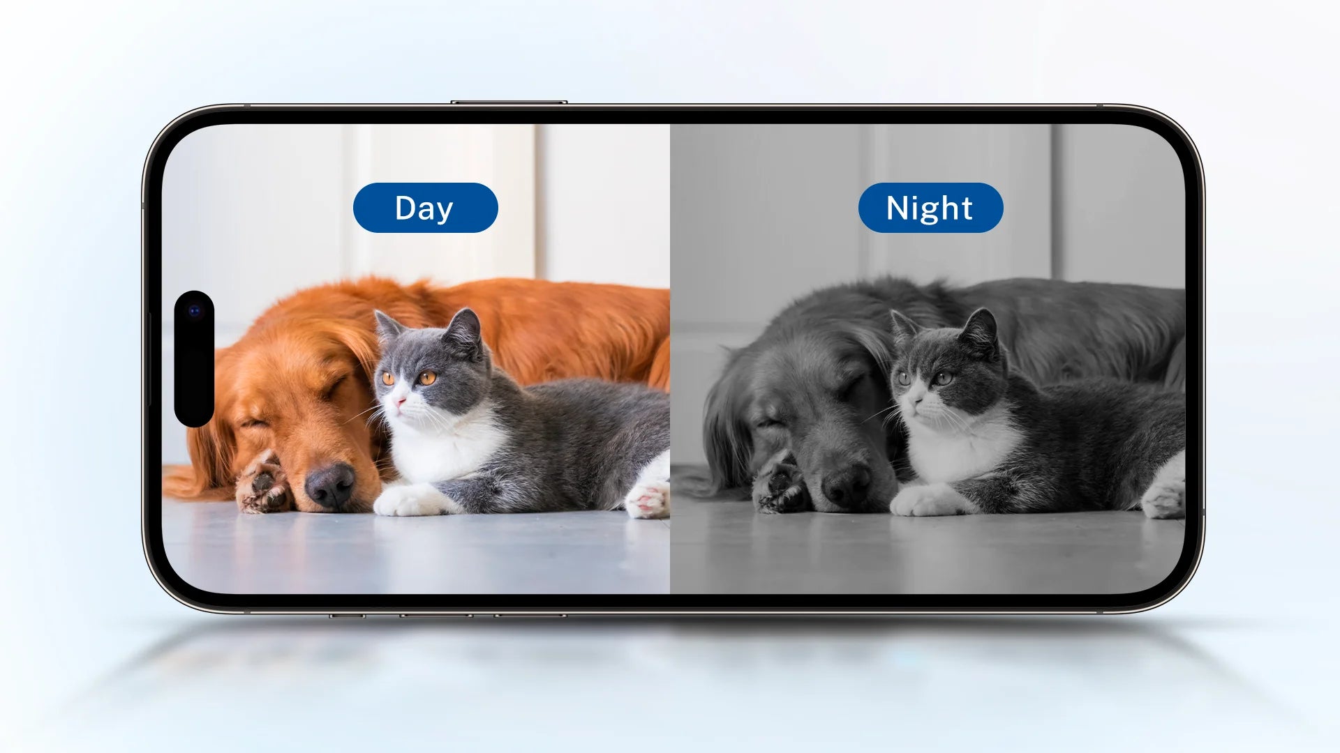 Enabot ROLA PetPal Robot Pet Companion Smart AI