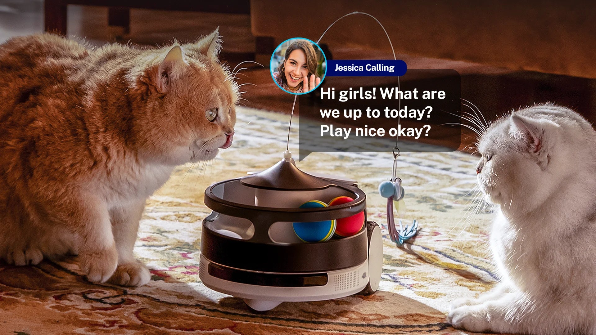 Enabot ROLA PetPal Robot Pet Companion Smart AI