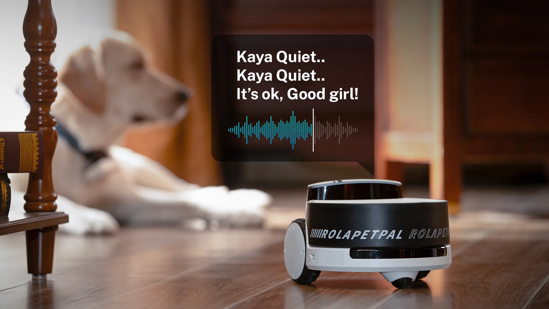 Enabot ROLA PetPal Robot Pet Companion Smart AI