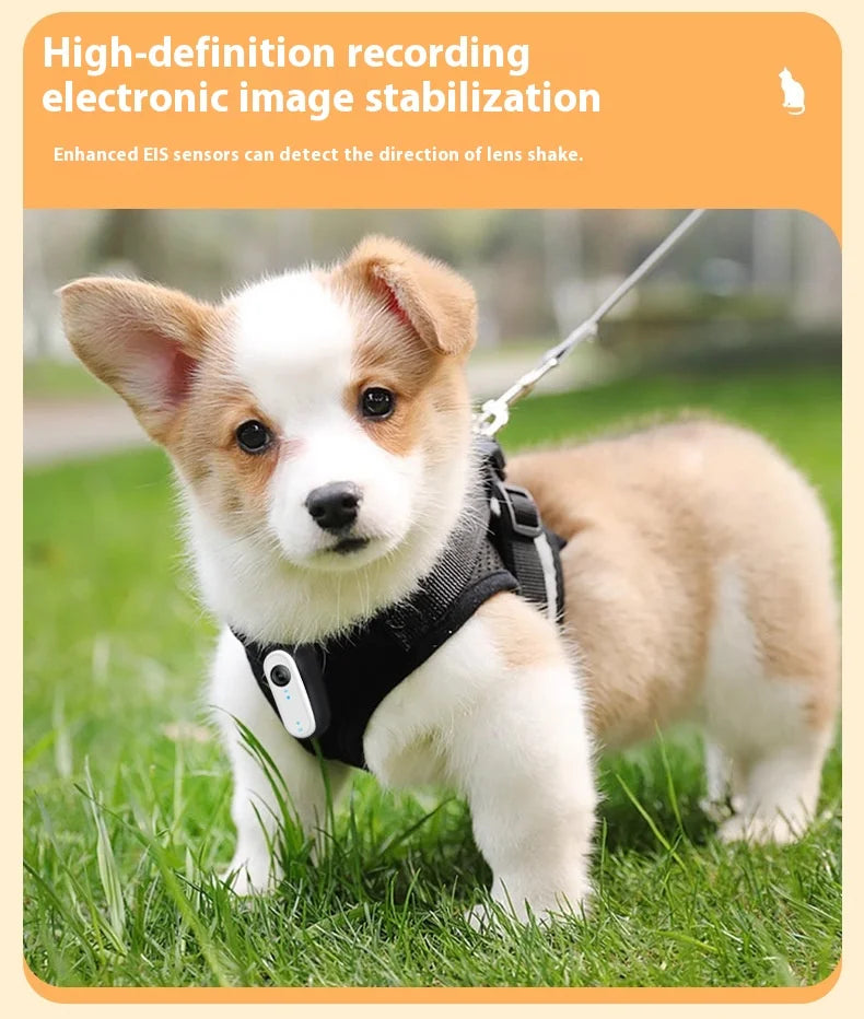 Pet Camera Live Streaming Waterproof HD