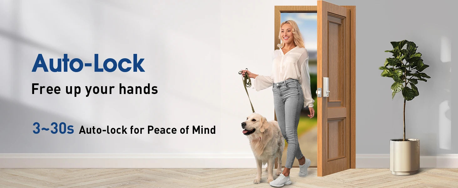 Smart Lock with password