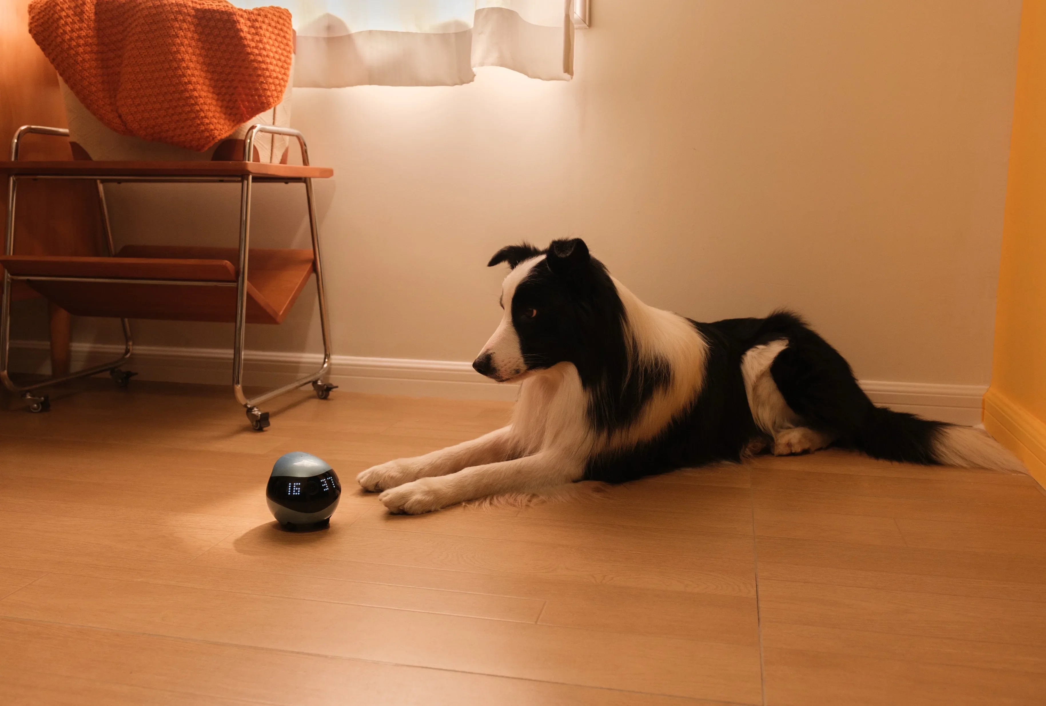 Factory Price  Smart Pet Robot with 2K Camera