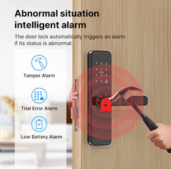Tuya Wifi Electronic Smart Door Lock