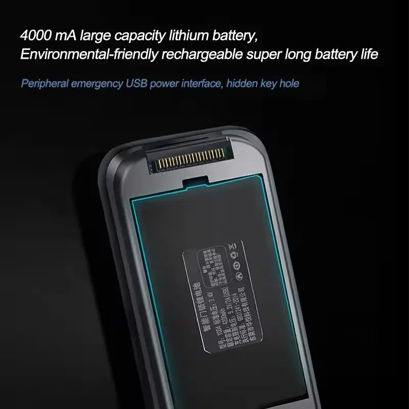 3D Face Recognition Smart Door Lock WiFi