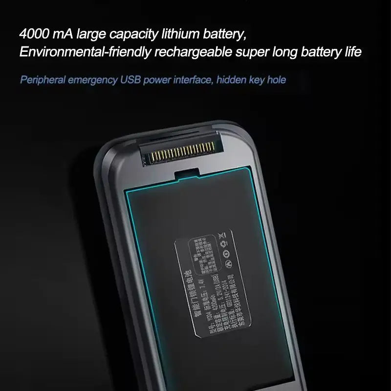 3D Face Recognition Smart Door Lock WiFi