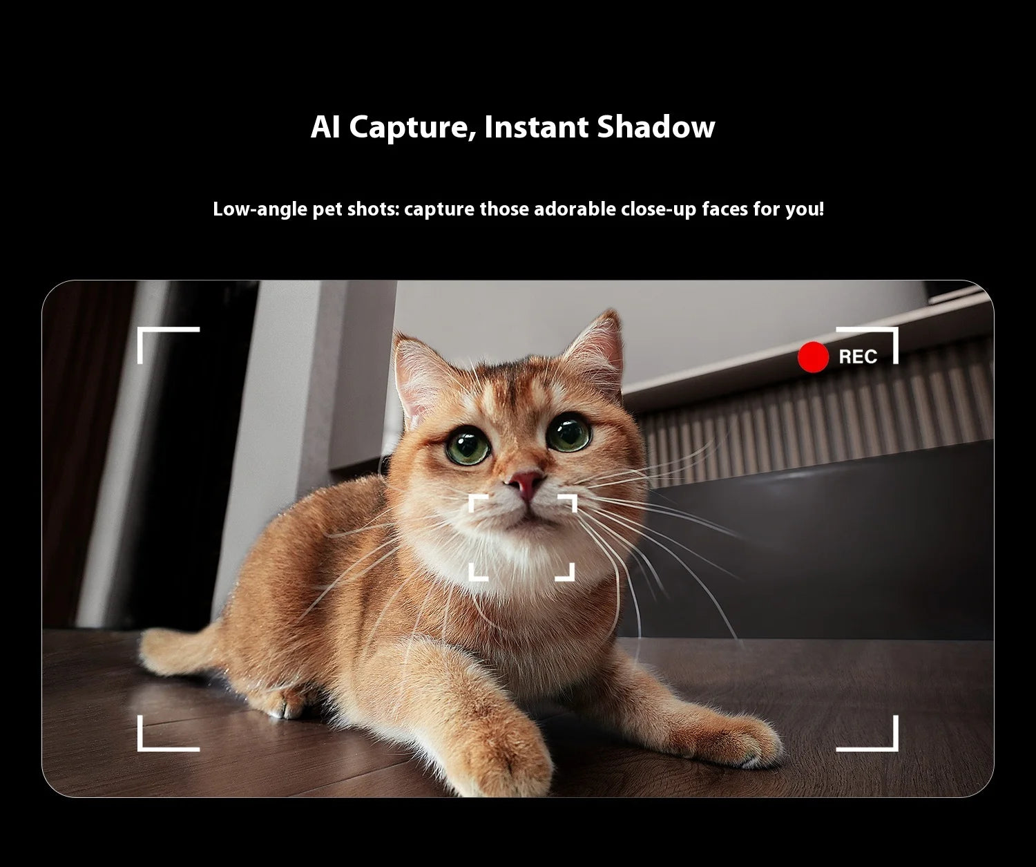 Enabot Air 2 Plus Intelligent Robot Wireless Camera AI